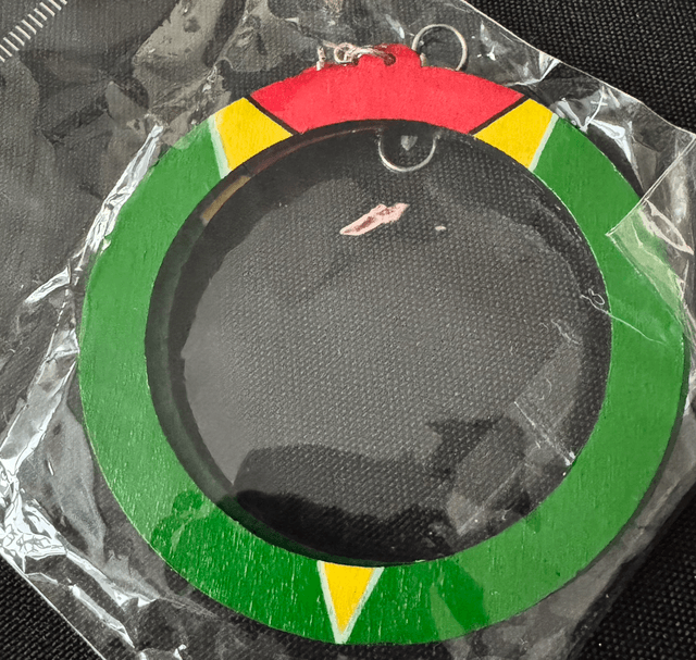 Guyana Painted Earrings 
